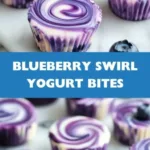 blueberry swirl yogurt bites 2026 03 18 203040 512x1024 1