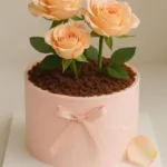 cake point ctg cake point ctg added a new photo 2026 03 18 223313 683x1024 1