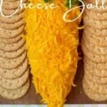 Carrot Cheese Ball 3 carrot cheese ball 2026 03 16 013042 1