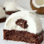 coconut dome with chocolate spread 2026 03 16 024412 1