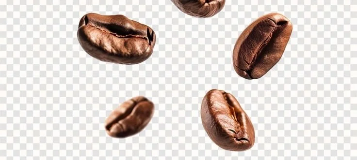 Isolated PNG of levitating coffee beans on a white background