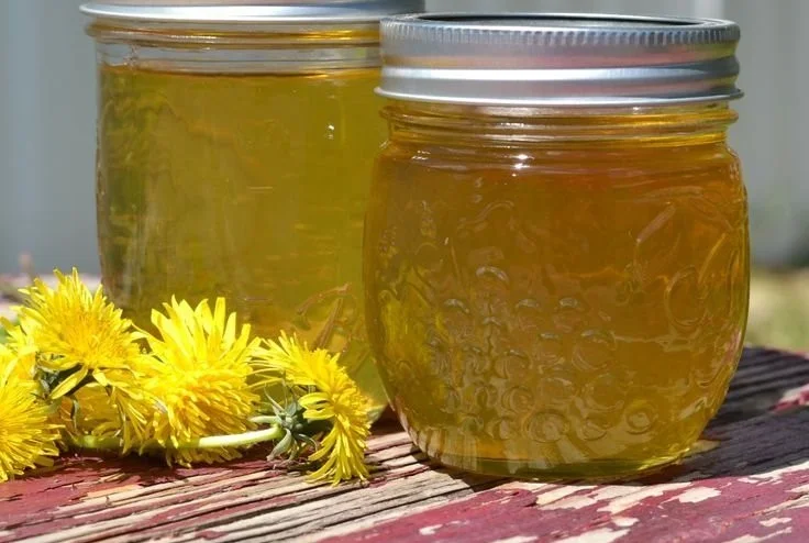 Homemade Dandelion Flower Jelly in a jar with fresh dandelion flowers