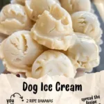 dog ice cream 2026 03 21 032222 1