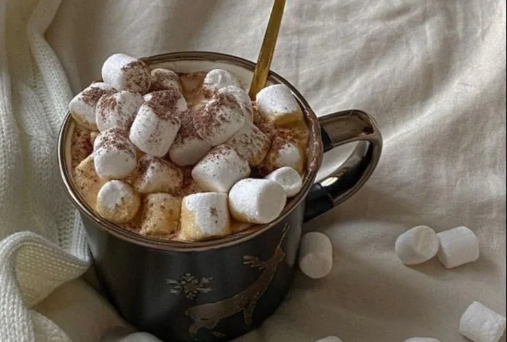 Delicious hot cocoa topped with marshmallows in a cozy mug