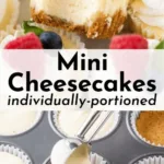 mini cheesecakes 2026 03 18 203011 1