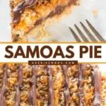 samoa pie 2026 03 21 032613 512x1024 1