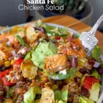 Santa Fe Salad 3 santa fe salad 2026 03 20 022700 576x1024 1